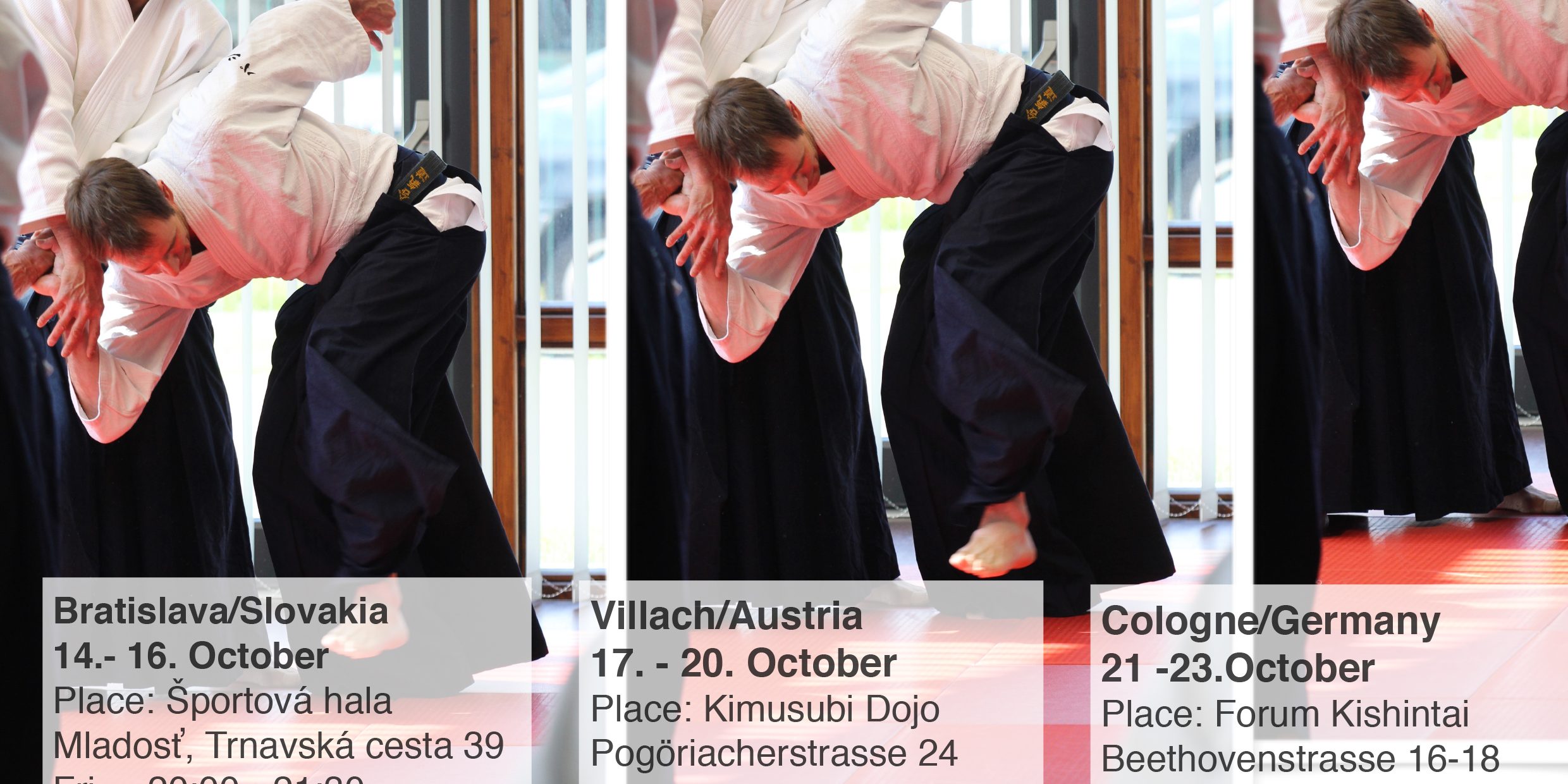 Poster 2016 v3.pages